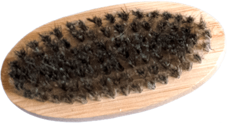 dog-grooming_28