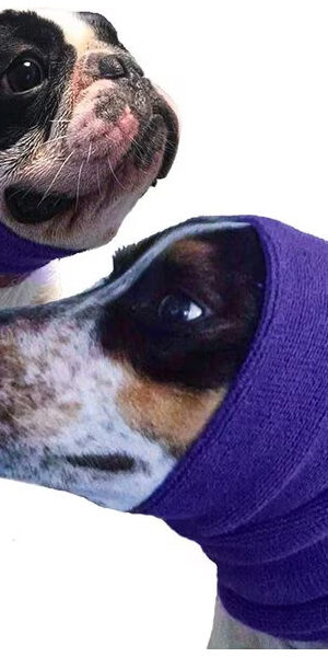 HAPPY HOODIE 2 Pack Purple